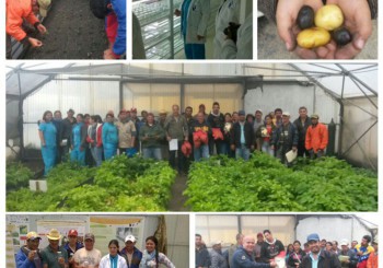 Codecyt siembra esperanza y paz en Venezuela