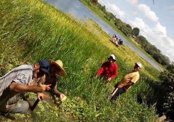 IVIC, FII y CNTQ participan en evaluación del impacto ambiental en el Estado Anzoátegui