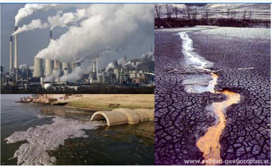El Impacto Ambiental en La Sostenibilidad del Futuro - Fundación ...