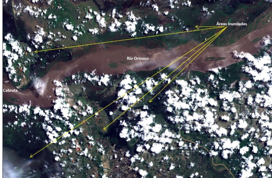 Fig. 3: Satélite Landsat-8 tomada el 02/08/2017. Resolución espacial: 30 m. Río Orinoco, Caicara, tercer puente. Las flechas indican las áreas inundadas.