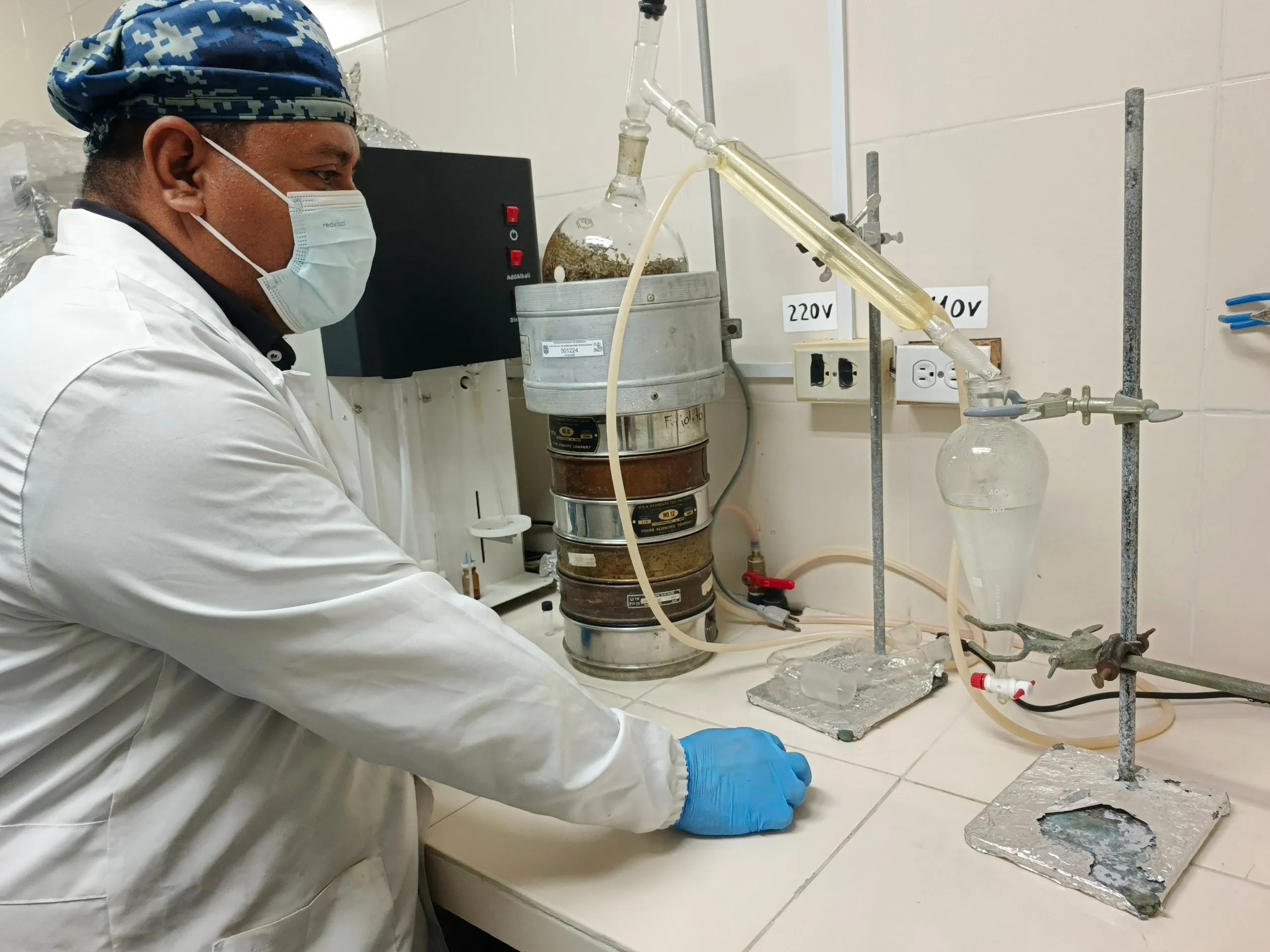 Inzit evalúa aceites esenciales de tomillo y orégano como alternativa ...