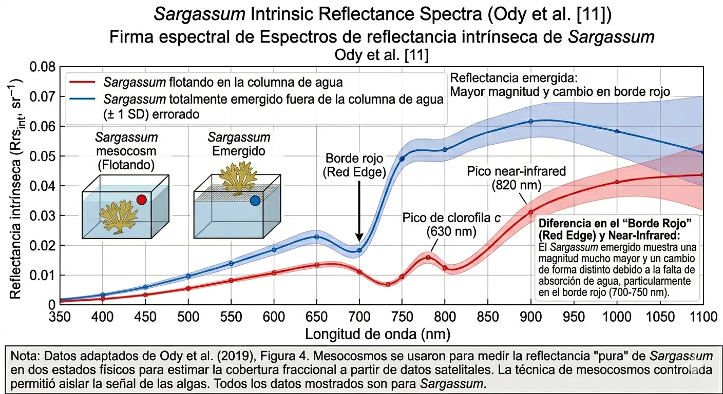 Monitoreo de la Vegetacion Acuatica con Teledeteccion 4