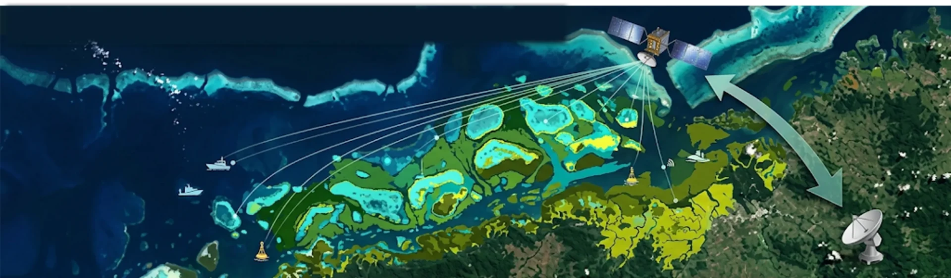 Monitoreo de la Vegetacion Acuatica con Teledeteccion 6