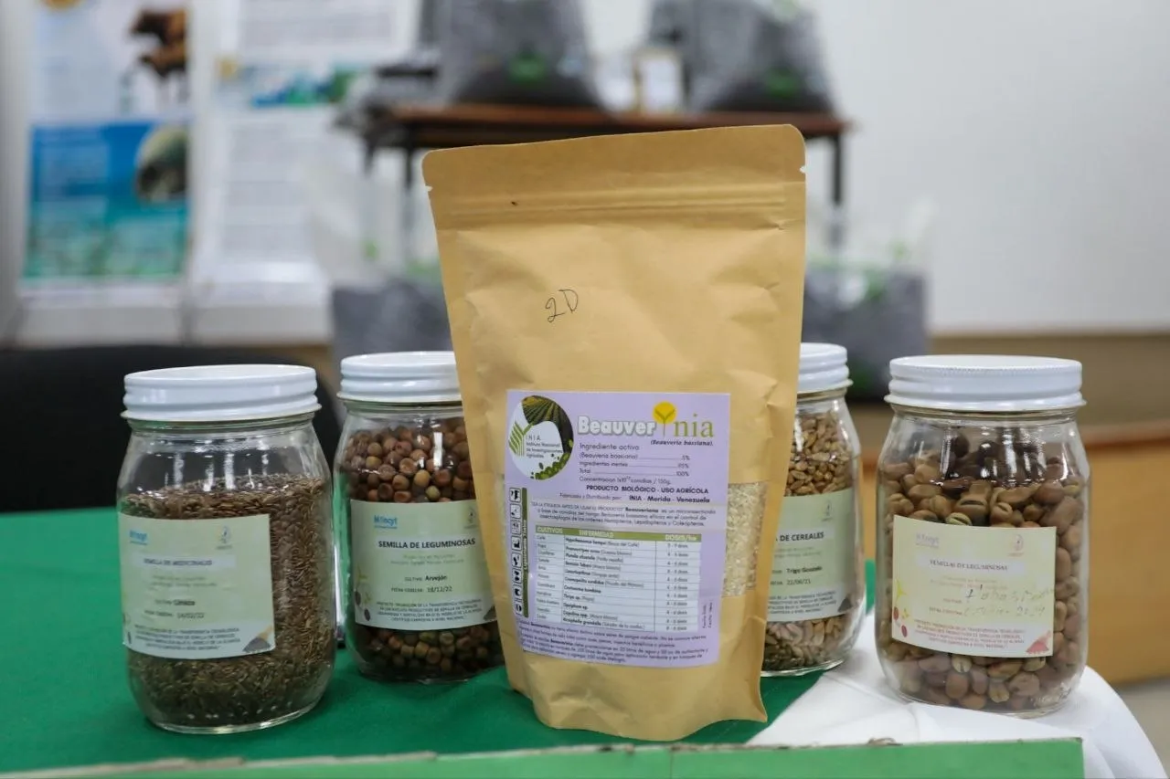 Alianza Científico-Campesina y productores del Eje Páramo consolidan plan para potenciar la producción agrícola en Mérida 7 Alianza Cientifico Campesina y productores del Eje Paramo 7
