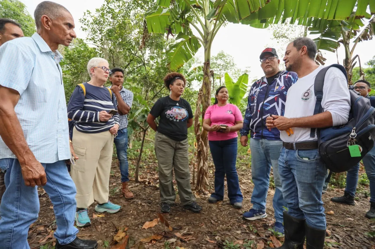 Cenidic impulsa formación técnica y genética local para fortalecer la producción cacaotera en Sucre 3 Cenidic impulsa formacion tecnica y genetica local 4