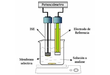 Comparación de Técnicas para la Determinación de Fluoruro: Electrodo Selectivo, Cromatografía Iónica y Emisión Atómica por Estequiometría 2 Comparacion de Tecnicas para la Determinacion de Fluoruro 1