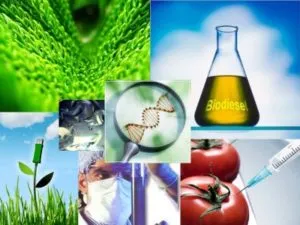Convergencia de la Geomatica y la Biotecnologia Ejemplos de Varios Ejes de Integracion 1
