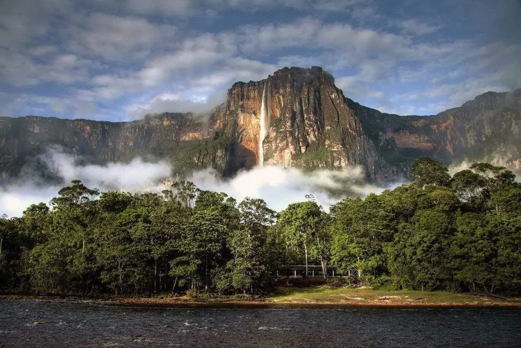 Venezuela celebra el Día Internacional de la Diversidad Biológica con un llamado a la acción y preservación de sus ecosistemas 2 Venezuela celebra el Dia Internacional de la Diversidad Biologica con un llamado a la accion y preservacion de sus ecosistemas 4